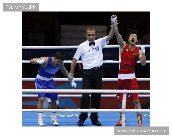 Z6体育网站为体育迷提供的独家内容和深度报道解析